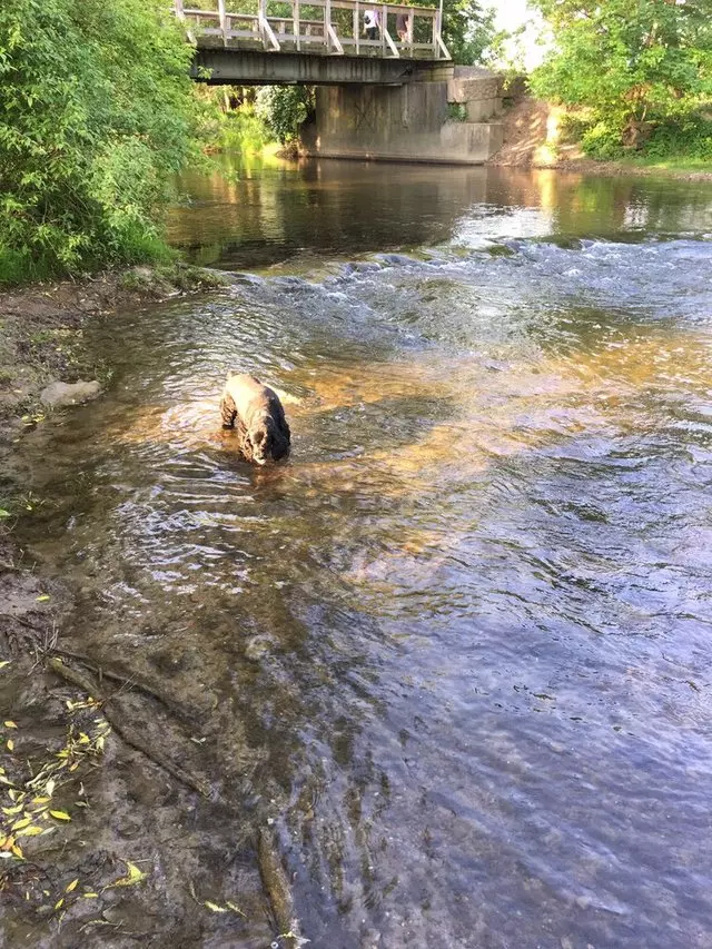 Amherst State Park