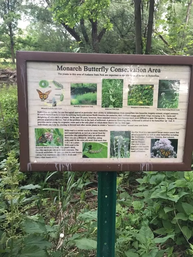Amherst State Park