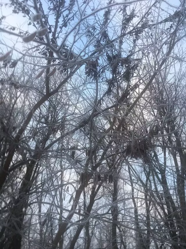 Amherst State Park