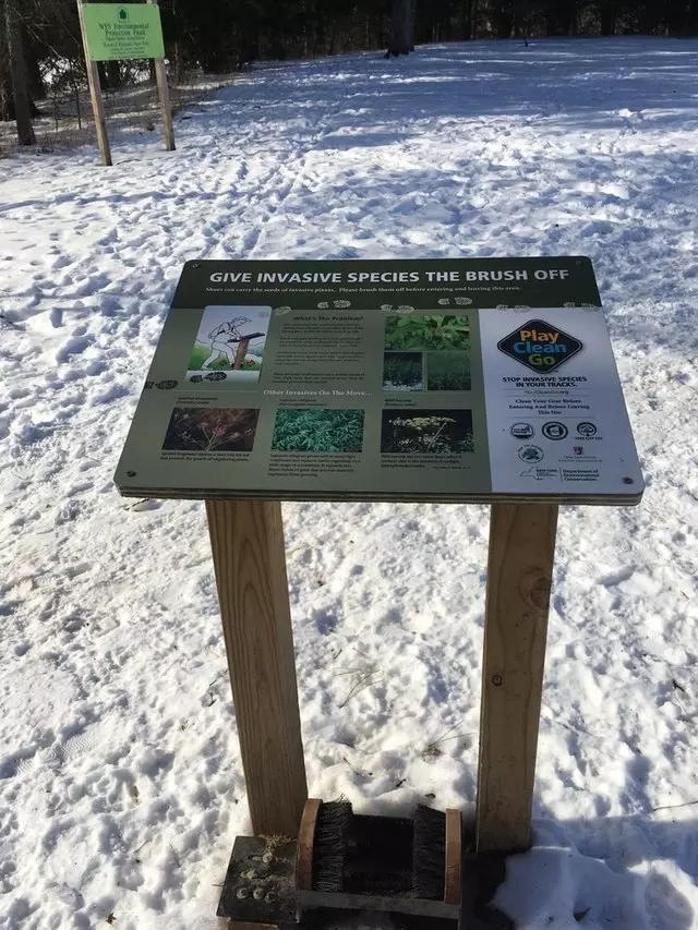 Amherst State Park