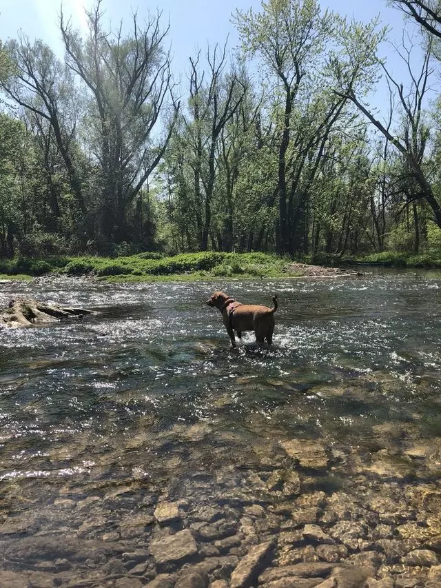 Amherst State Park