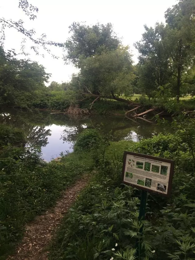 Amherst State Park