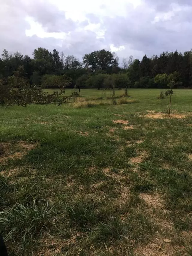 Amherst State Park