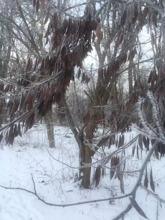 Amherst State Park