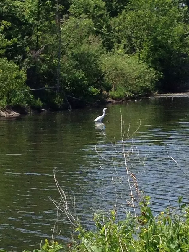 Amherst State Park