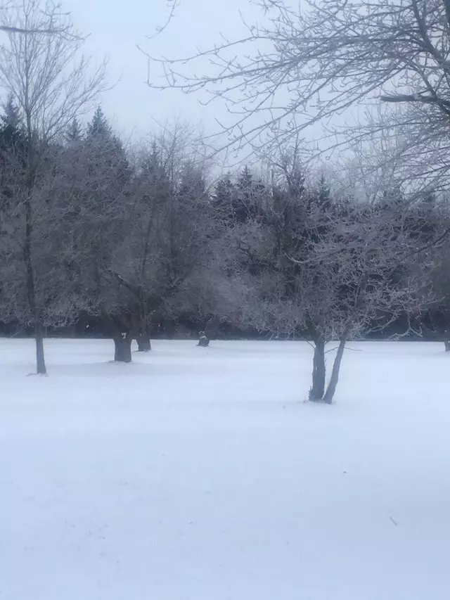 Amherst State Park