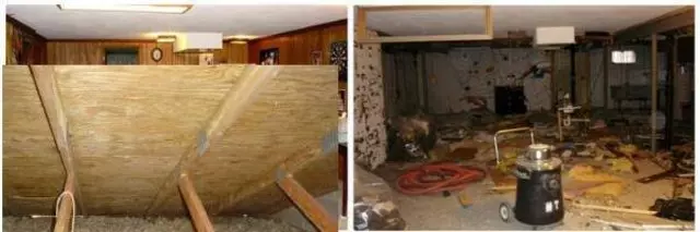 Ahold of Mold Environmental