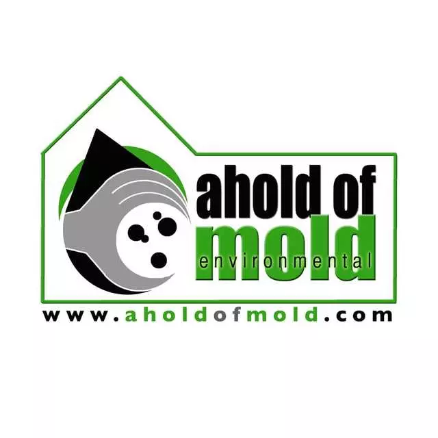 Ahold of Mold Environmental