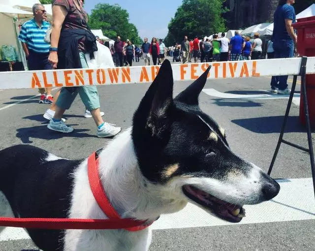 Allentown Art Festival