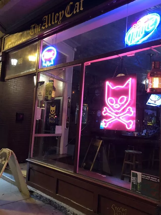Alley Cat