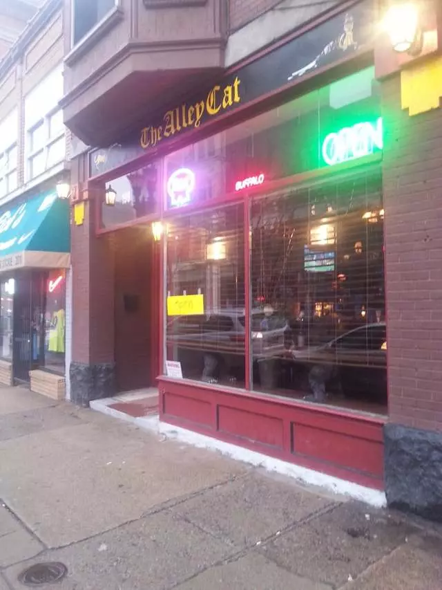 Alley Cat