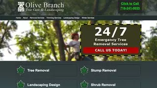 Olive Branch