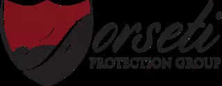 Forseti Protection Group