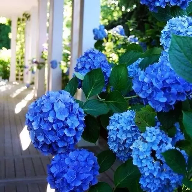 Amherst landscaping