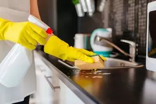Maid to Perfection