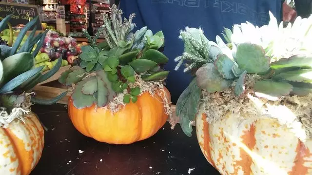 Lexington Co-op Markets