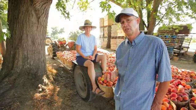 Lexington Co-op Markets