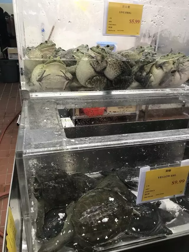Asia Food Market