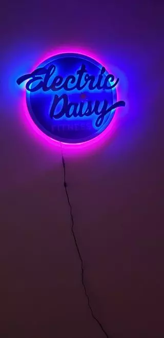 Electric Daisy Fitness