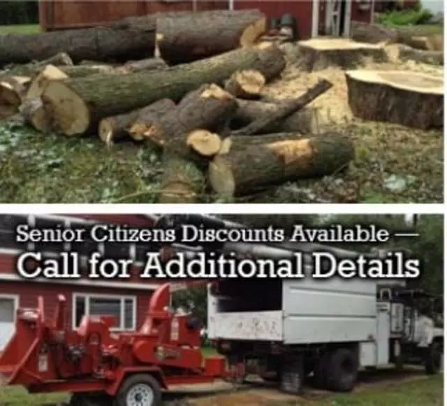Action Tree Care
