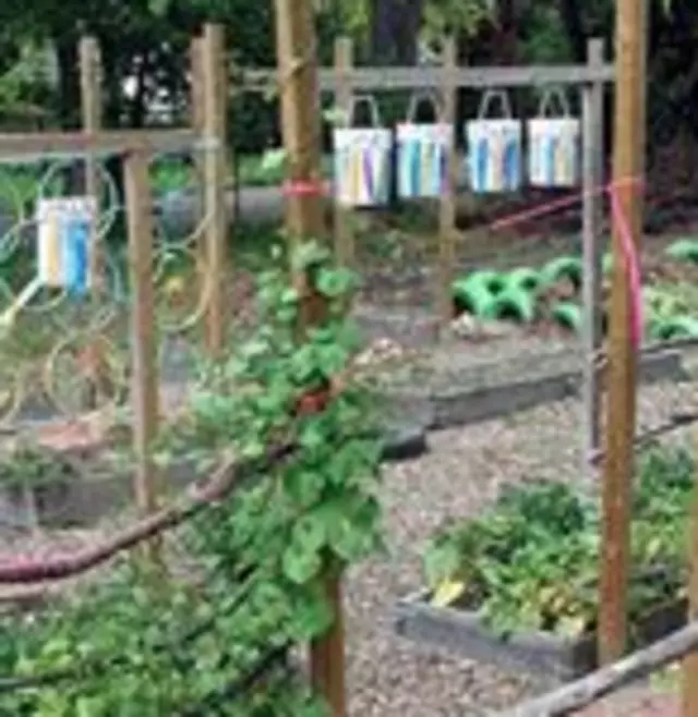 Children&apos;s Vinery