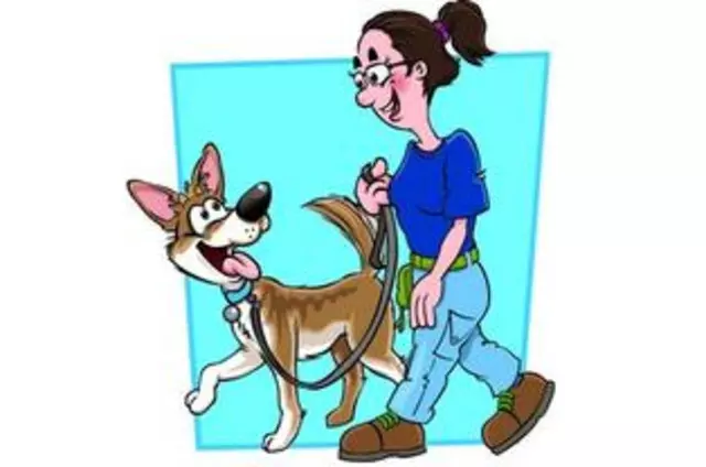 All Positive Dog Training, LLC