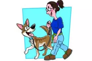 All Positive Dog Training, LLC