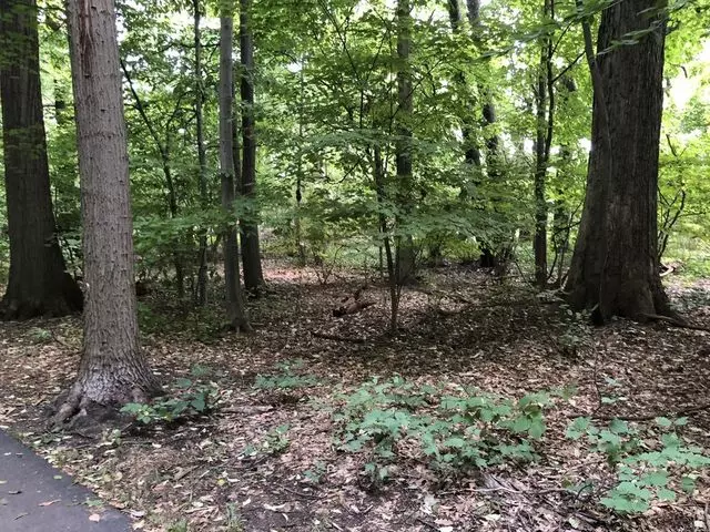Audubon Town Park