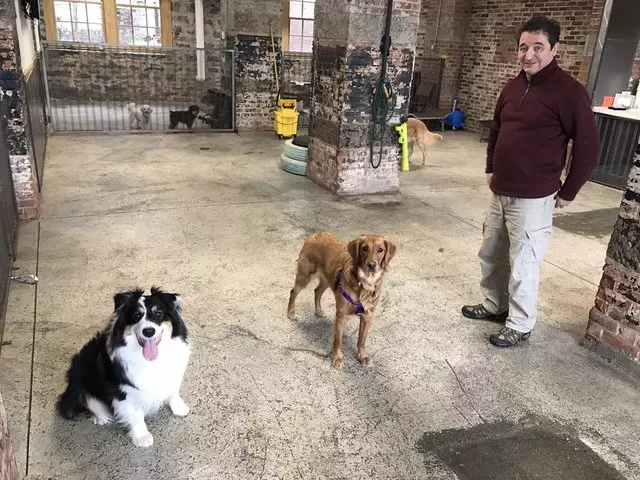 Animal Outfitters