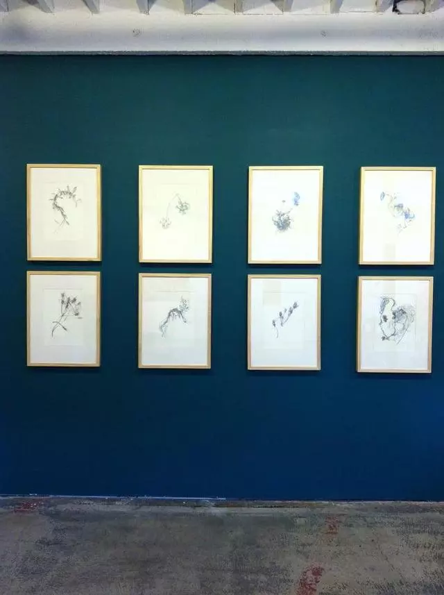 Anna Kaplan Contemporary