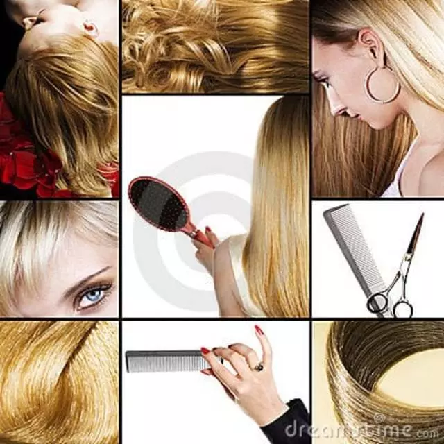 Anthony Paul Salon