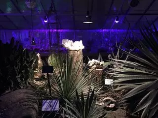 Buffalo and Erie County Botanical Gardens